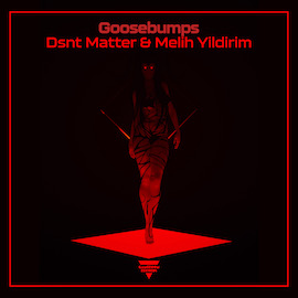Dsnt Matter & Melih Yildirim - Goosebumps