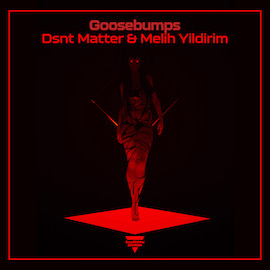 Dsnt Matter & Melih Yildirim - Goosebumps